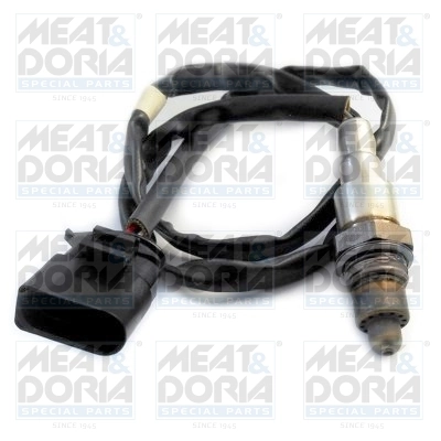 Oxygen Sensor